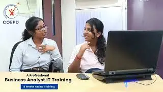 Business Analyst