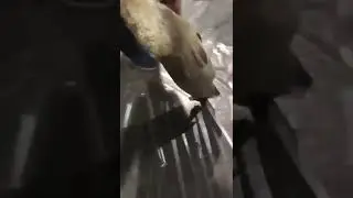 samagling ka neya andaaz
