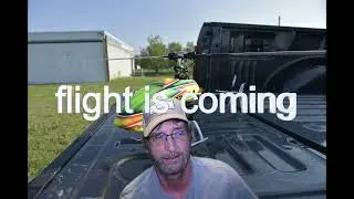 BLADE 330S programming problems