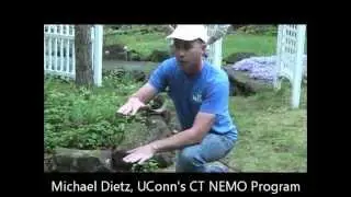 Reducing Runoff with Rain Gardens