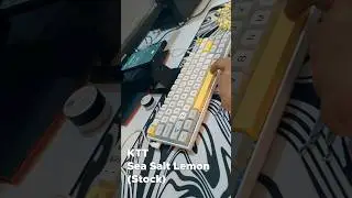 Akko V3 Cream Yellow vs KTT Seal Salt Lemon (Stock) (Unlubed)