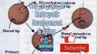 Chp_19_Sgd_12|Embryonic induction|Dorsal lip blastopore|Primary induction| Aging|Old age