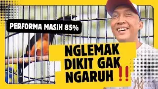 Nglemak Dikit Barbara Gass Bawa Revo ‼️