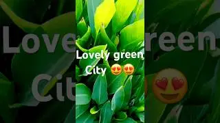 #short👍😍😍#Ahmedabad green city❤️😍❤️😍#lovely city😘🥰😍#automobile#likeandsubscribe😘🥰😍🙏💐