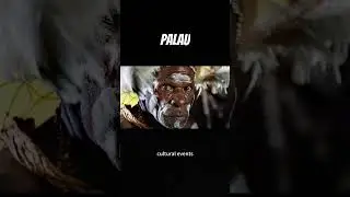 Discover the Hidden Gem of the Pacific - Palau