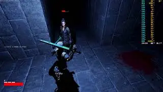 Dark Dungeon in Custom Game Engine