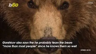 A Fearless Photographer Gets Buddy-Buddy With Brown Bears Even Swimming With Them
