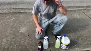 Sidewalk Mold, Bleach, vs Hydrogen peroxide test on Moldy sidewalk, see what happens.