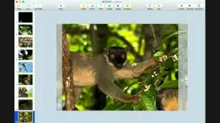 Travis Steffens: Biodiversity, Conservation and Adventure in Madagascar