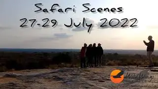 Safari Scenes 27-29 July 2022