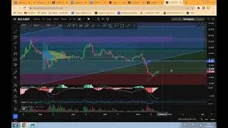 Sol Sui Samoed Tidex Qmall обзор где покупать