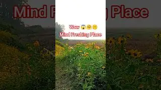 Mind Freshing Place 😱🤗🤫#song #music #jungle #flowers #trending #ytshorts #peace