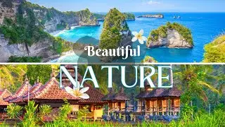 Immersive 4K Nature Escape: A Visual Symphony of Earth's Beauty