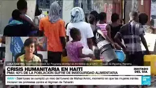 &iquest;Cu&aacute;les fueron los hallazgos del Programa Mundial de Alimentos de las Naciones Unidas en Hait&iacute;?