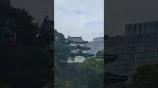 【日本100名城】江戸城富士見櫓(東京都千代田区)