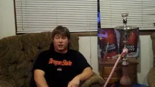 Fantasia Cotton Candy shisha review