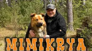 ЗНАКОМИМСЯ С БРЕНДОМ MIMIKRYA