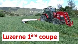 MARRE des paysans qui font du BRUIT à 22h ou tout savoir sur la luzerne