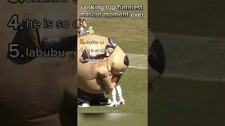 ranking top funniest mascot moment ever #mascot #ranking