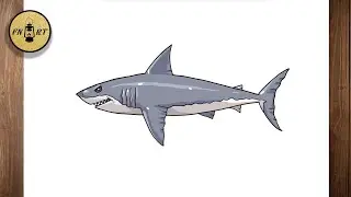 How to draw a shark body step by step easy for beginners