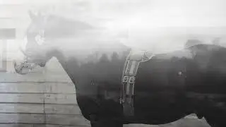 På lantbruksresa i Europa 1910 - fotografier och reseberättelse ur Alnarpsinstitutets arkiv