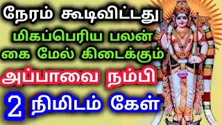 Murugan Blessings/Murugan Motivational Words/Positive Words/Mind relaxing Video@God Motivation
