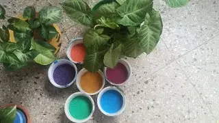Easy garden ,Pongal decoration, my balcony garden...🌿🌿