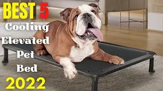 Best 5: Cooling Elevated Pet Bed 2022 | Dog beds Waterproof Outdoor