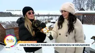 Ocieplamy budy dla piesków | halo tu polsat
