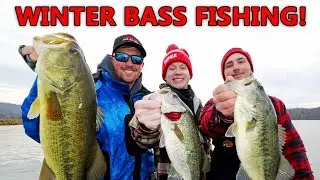 ALABAMA RIG Fishing In The WINTER For BIG BASS! (MO BLING RIG)