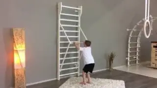 Dinox wood puolapuut
