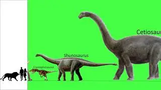 Dinosaur Timeline (TRIASSIC TO CRETACEOUS) without music