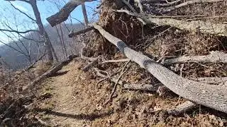 Mountains to Sea Trail at Bull Gap: Storm Damage, Part 1