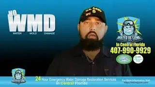 Water Be Gone Central Florida Mold Remediation and Water Damage Repair