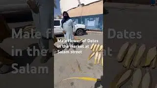Male flower of dates