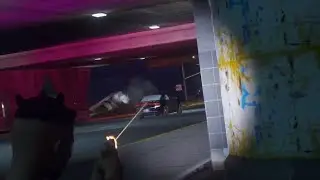 copkiller.mp4 (fivem.net)