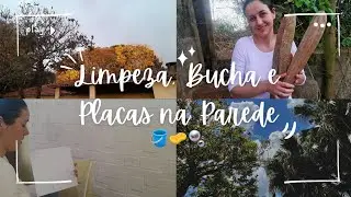 Reforma e limpeza✨️🧼 Buchas vegetais, já ouviu falar ?! 🫧🧽