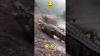 Supr-#