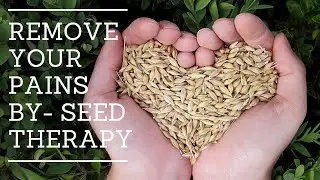 REMOVE YOUR PAINS BY SEED THERAPY