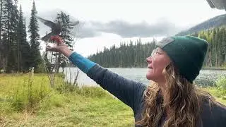 Road Trip Top to Bottom of BC