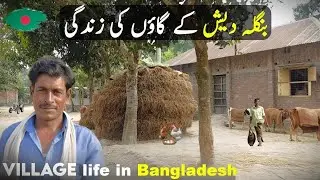 Bangladesh 🇧🇩 Village Rural life Documentary in Urdu and Hindi | بنگلہ دیش کے گاؤں کی زندگی#info
