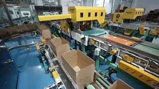 Wilmar China&mdash;&mdash;Automatic Rice Packing Machine Line Project