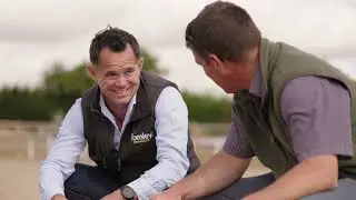 Tomley Projects: Building World-Class Equestrian Facilities