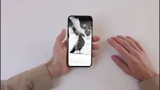 Mobile 📱Screen replacement ￼view #animationvideo 