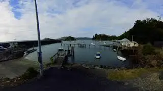1 min lookout - Back Beach, Port Chalmers 21st Jan 2023