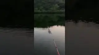 Best handpole fishing at down.Wonderful catch.Watch till the end.#fishingrod #fishinggear #fishing