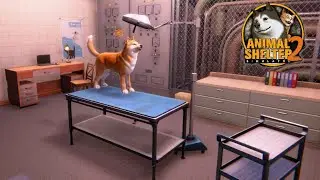 Caring For Injured Animals ~ Animal Shelter 2