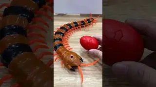 Satisfying With Unboxing RC Centipede [ASMR]#shortvideo