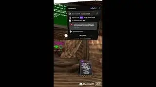 Playing  gorilla tag with with fans