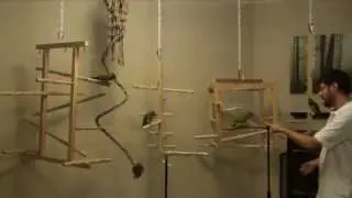 New NU Perch Hanging Play Gyms for Ginger's Parrots Rescue